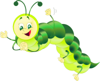 a green caterpillar